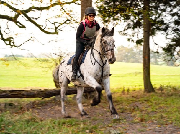 Globetrotting Castle & Estate Ride, Ireland - horse riding holidays