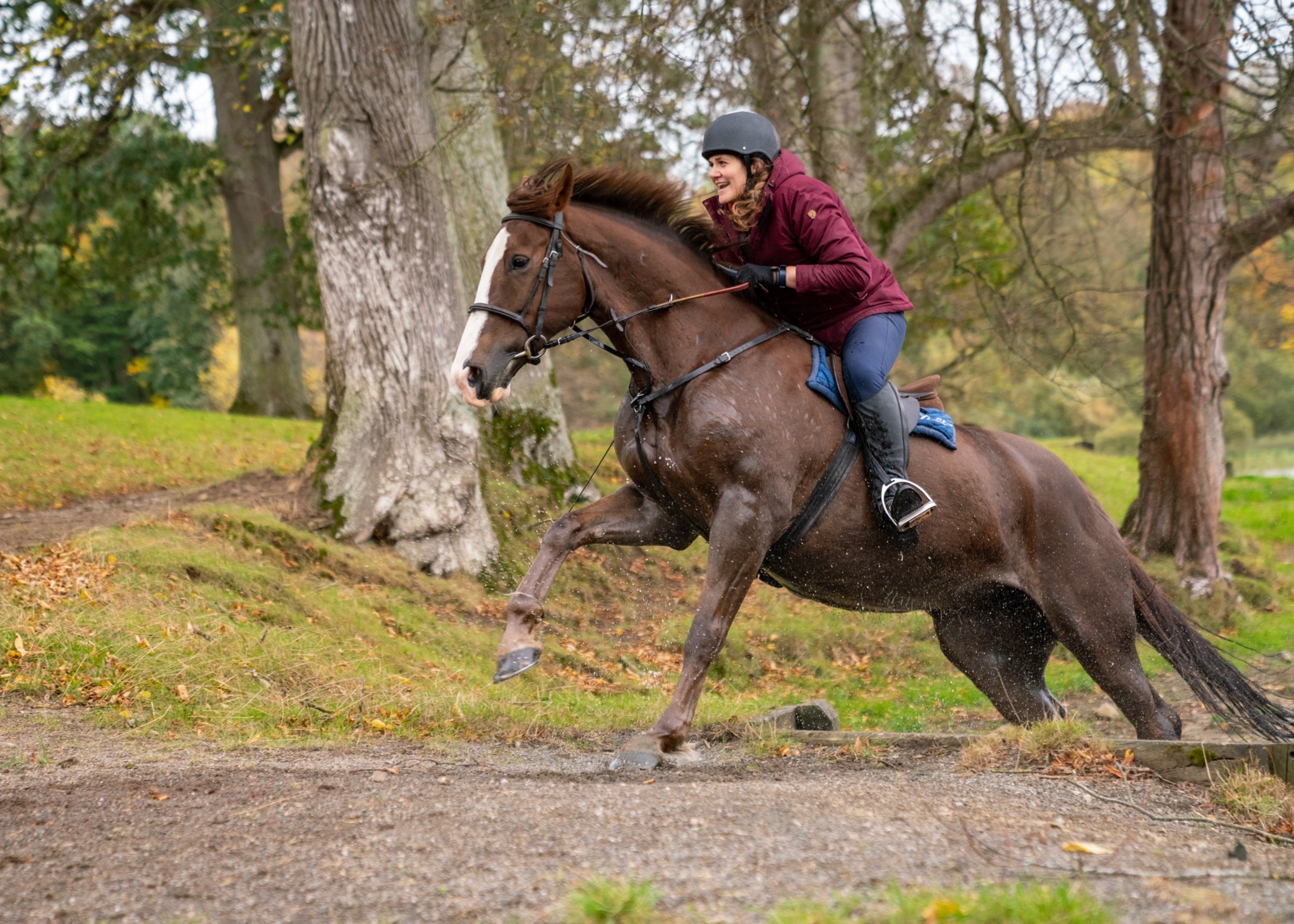 Castle and Estate horse riding holiday in Ireland