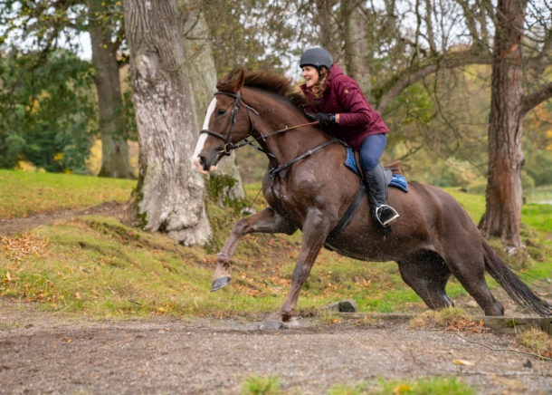 Globetrotting Castle & Estate Ride, Ireland - horse riding holiday