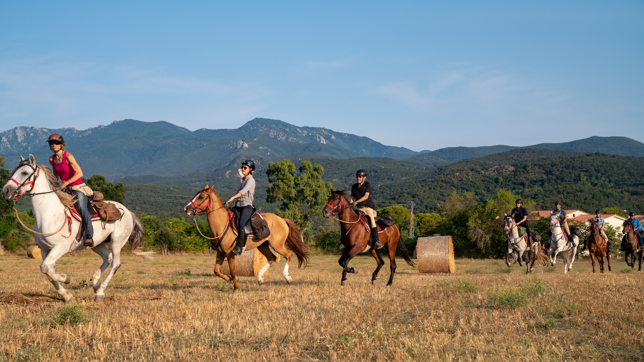 cantering through wheat field horse riding holiday in Catalonia, Spain