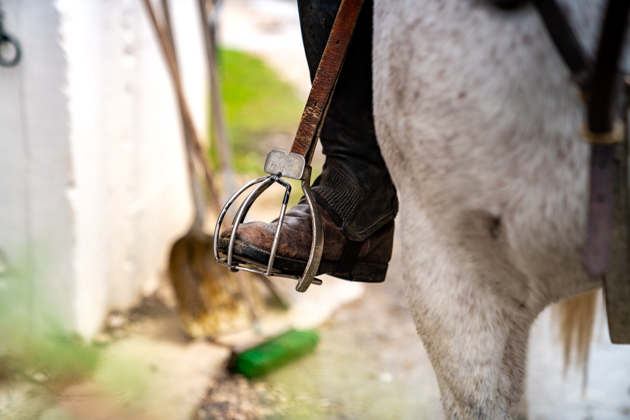 horse riding holiday in Camargue, France