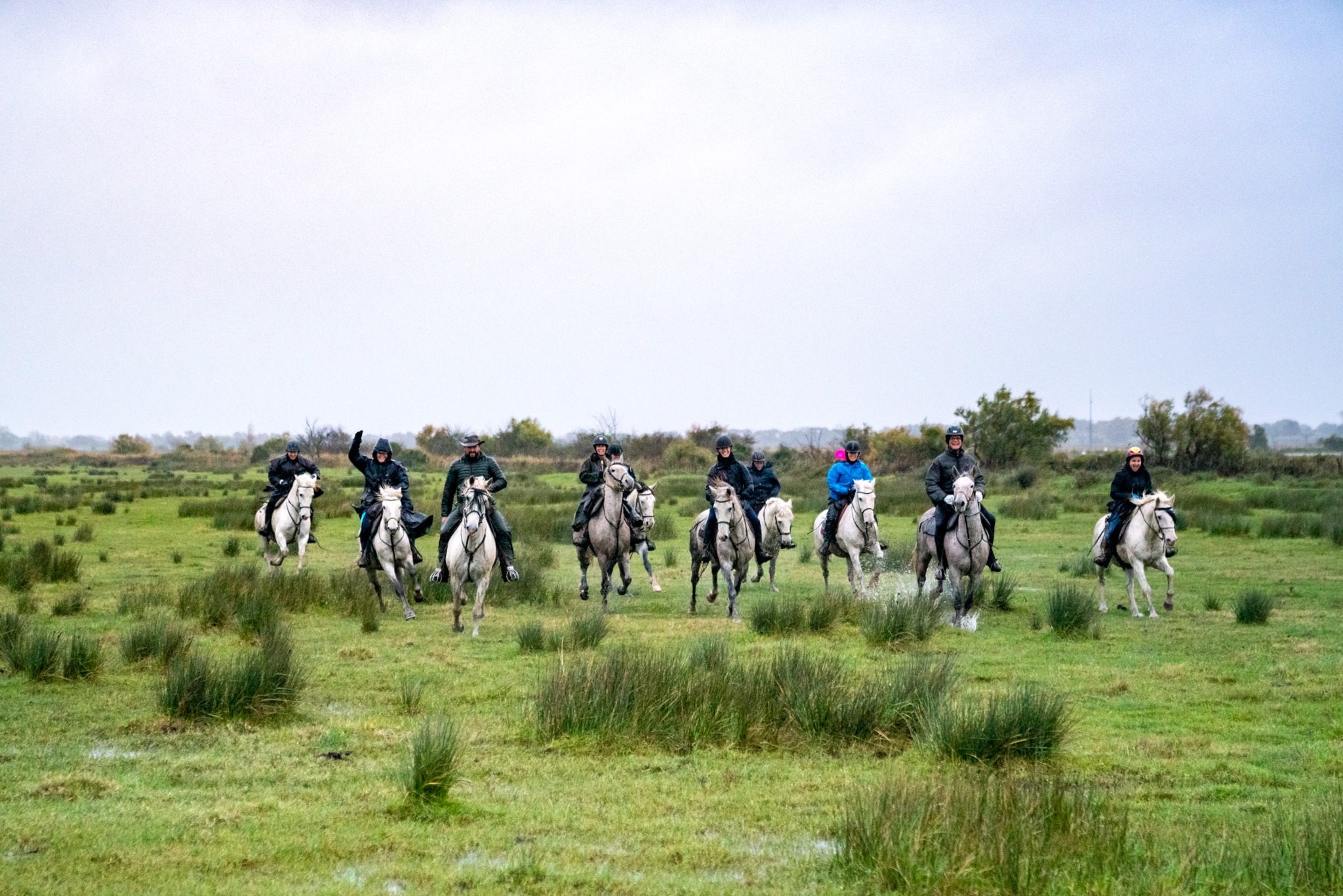 horse riding holiday in Camargue, France