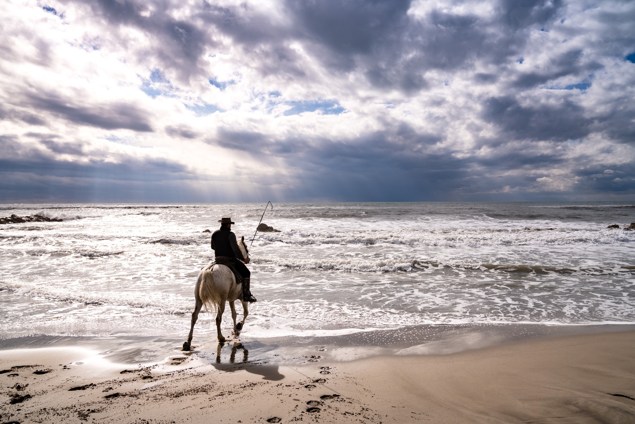 horse riding holiday in Camargue, France