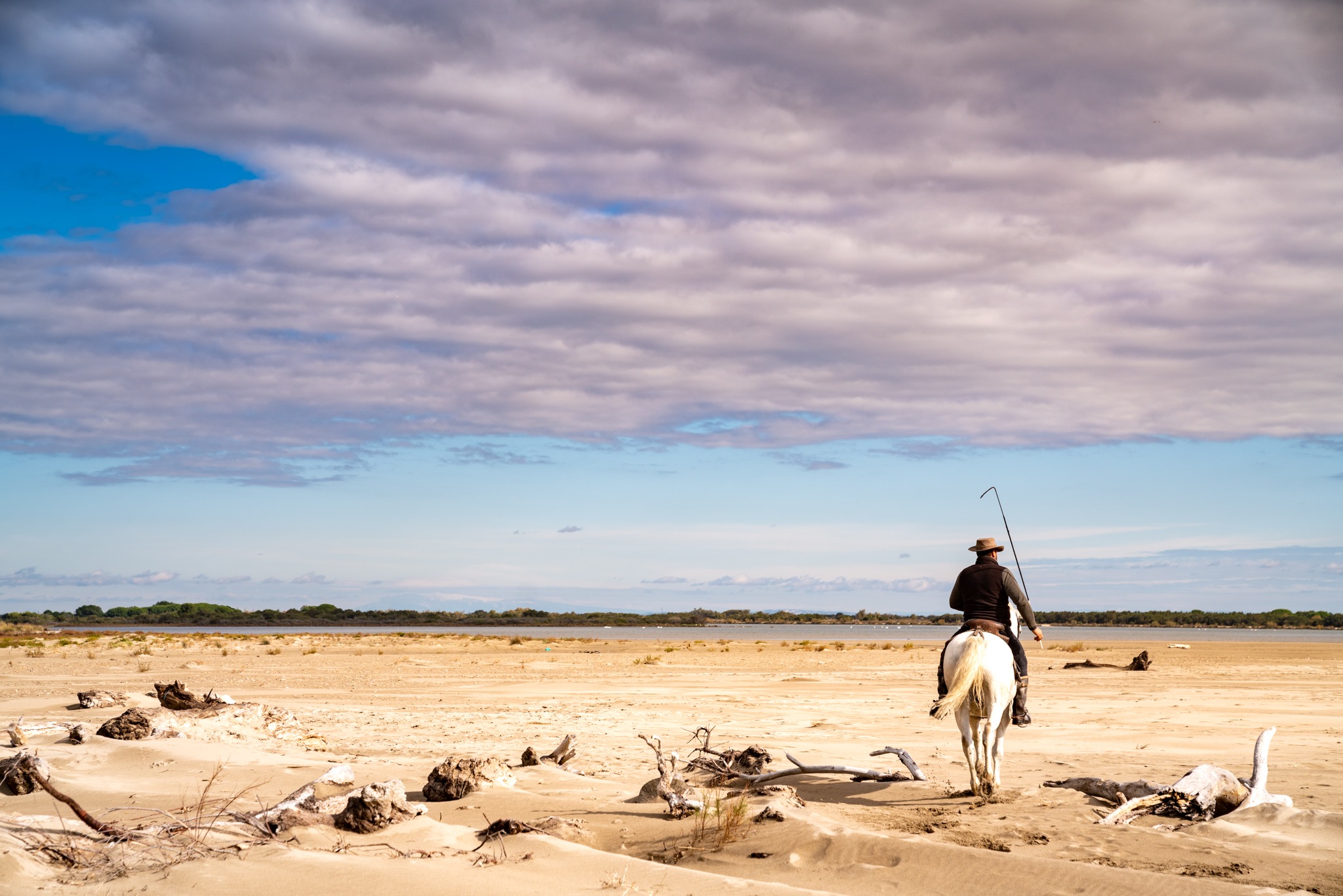 horse riding holiday in Camargue, France
