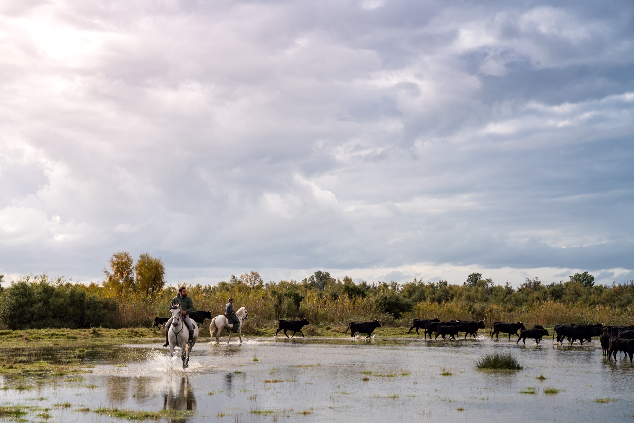 horse riding holiday in Camargue, France