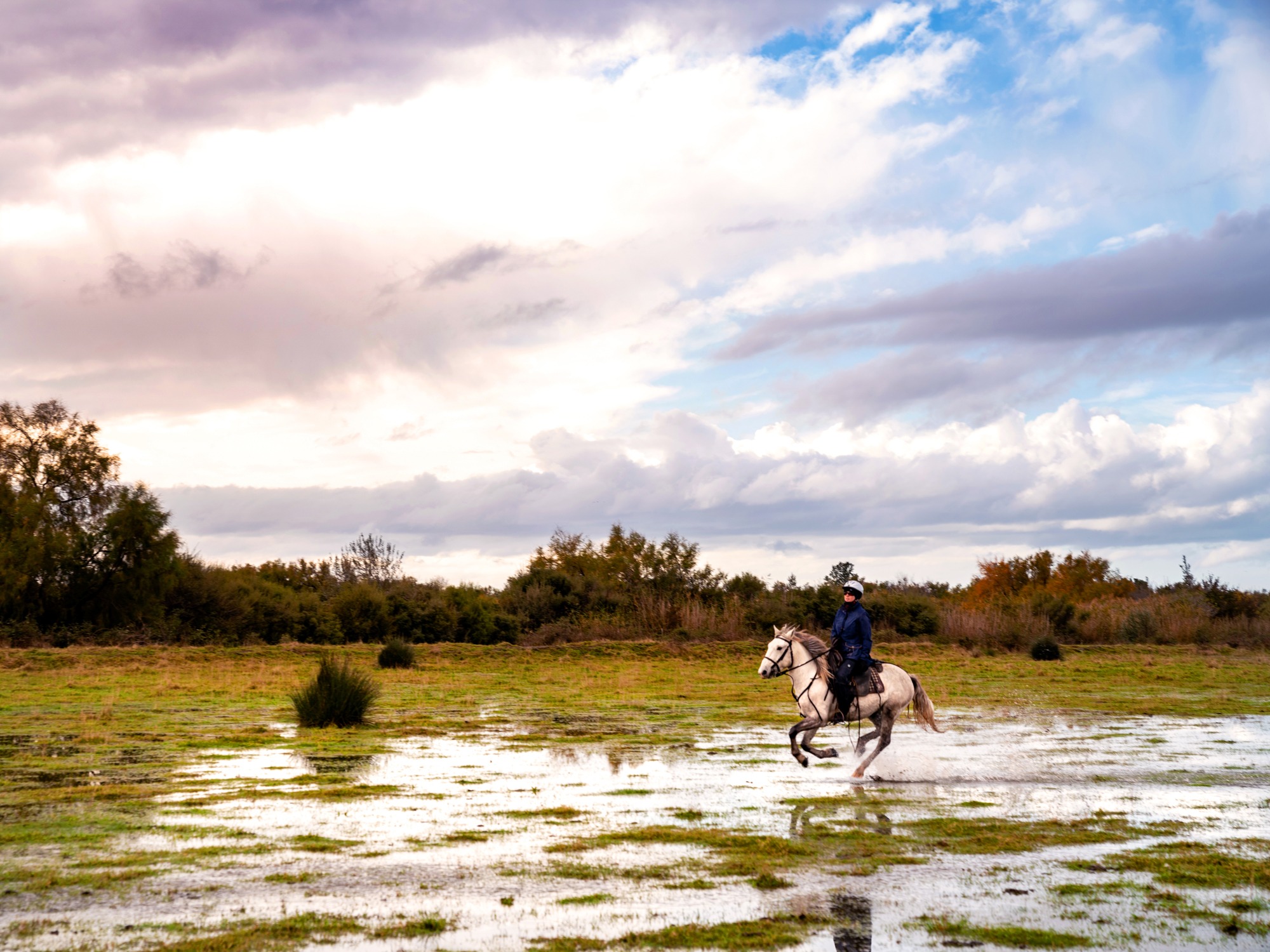 horse riding holiday in Camargue, France