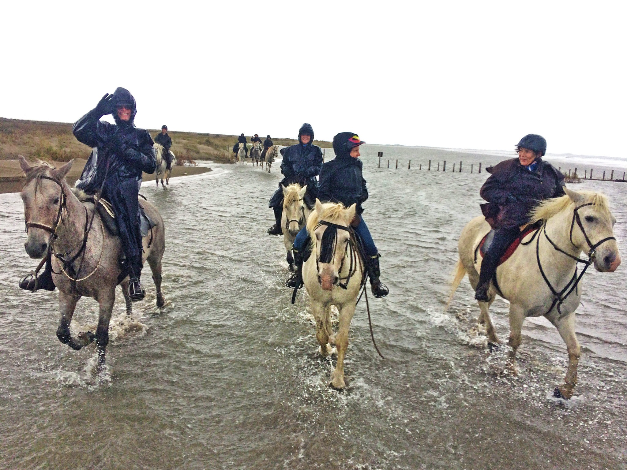 The Camargue Ride, France - Globetrotting horse riding holidays