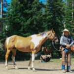 horse and cowboy on cattle drive riding holiday by globetrotting
