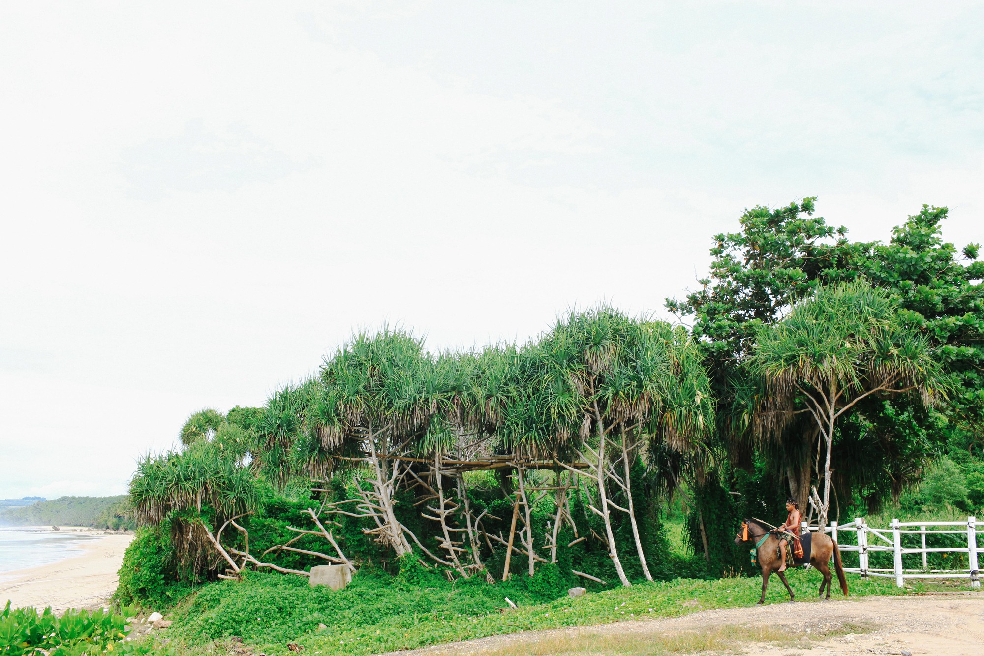 horse riding holiday Sumba