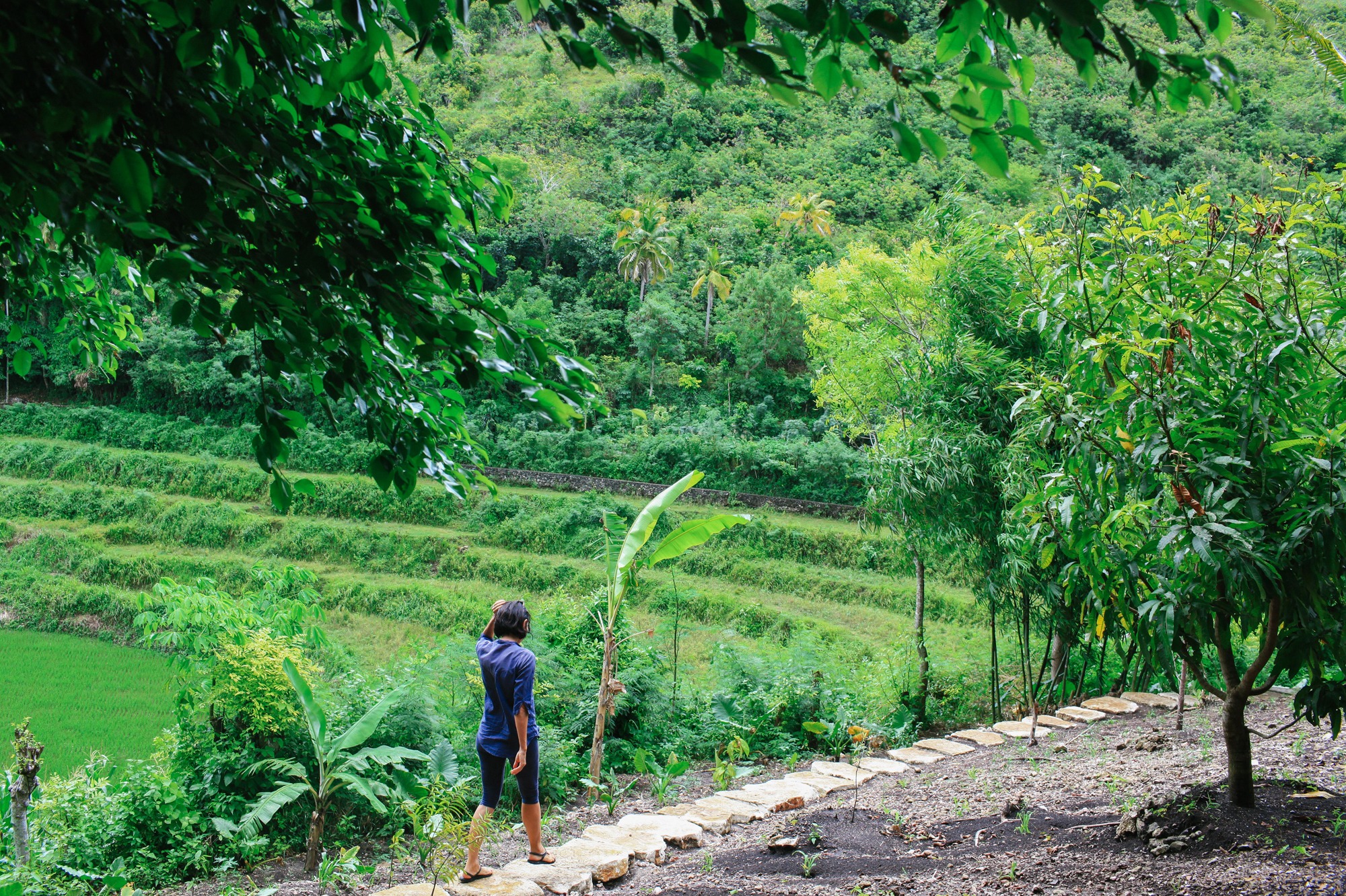 horse riding holiday Sumba