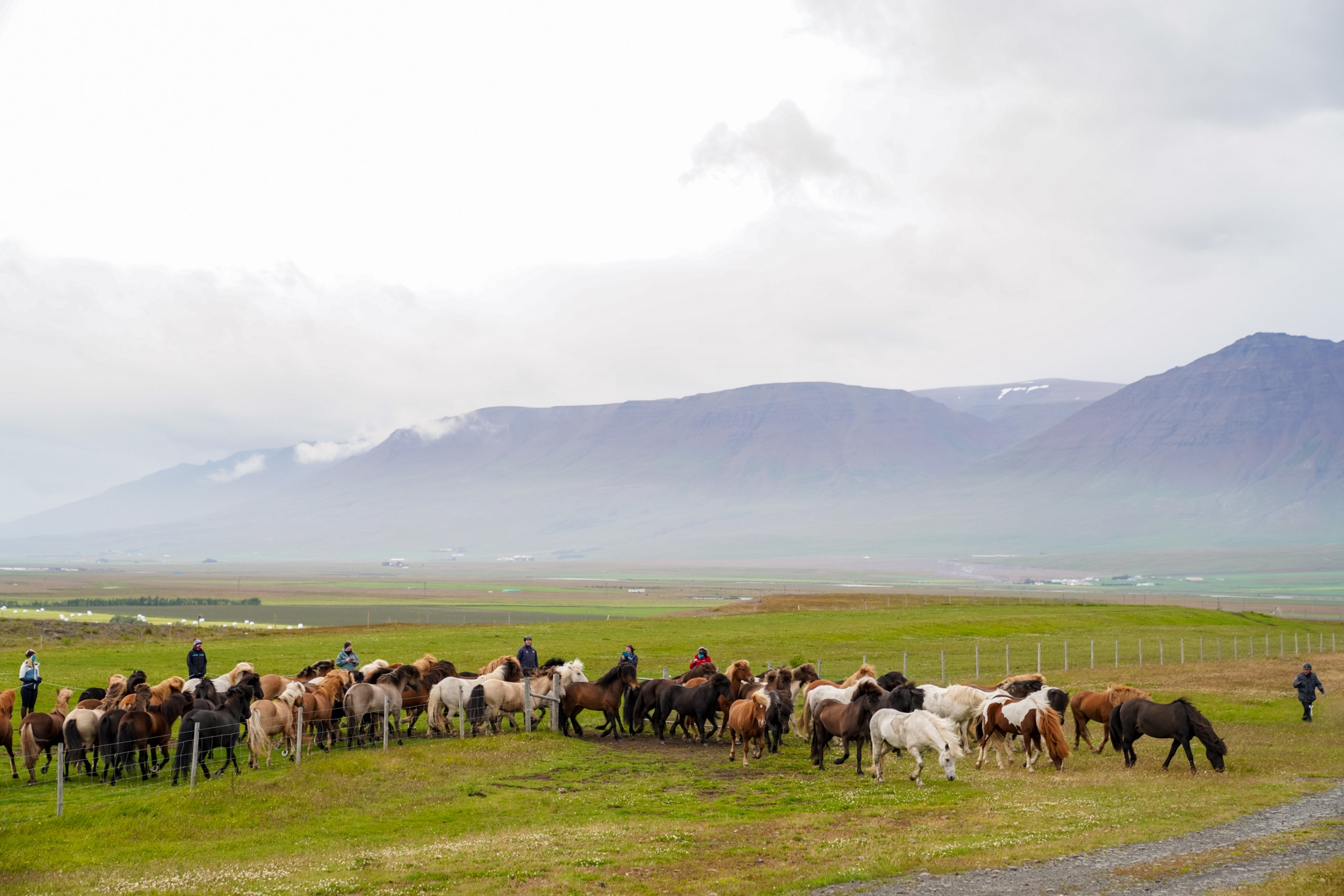 horse riding holiday in Iceland Wilderness Expedition