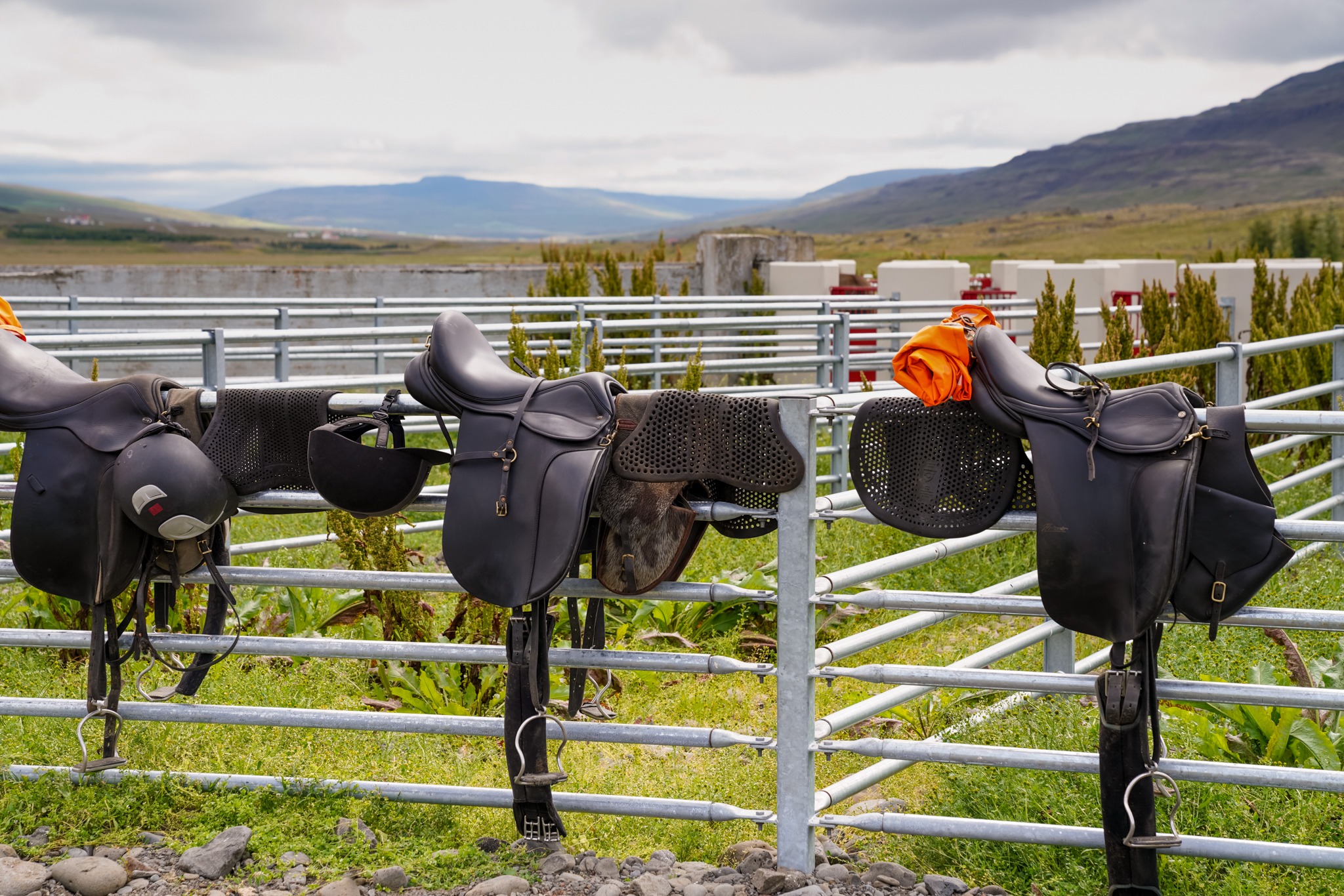 horse riding holiday in Iceland Wilderness Expedition