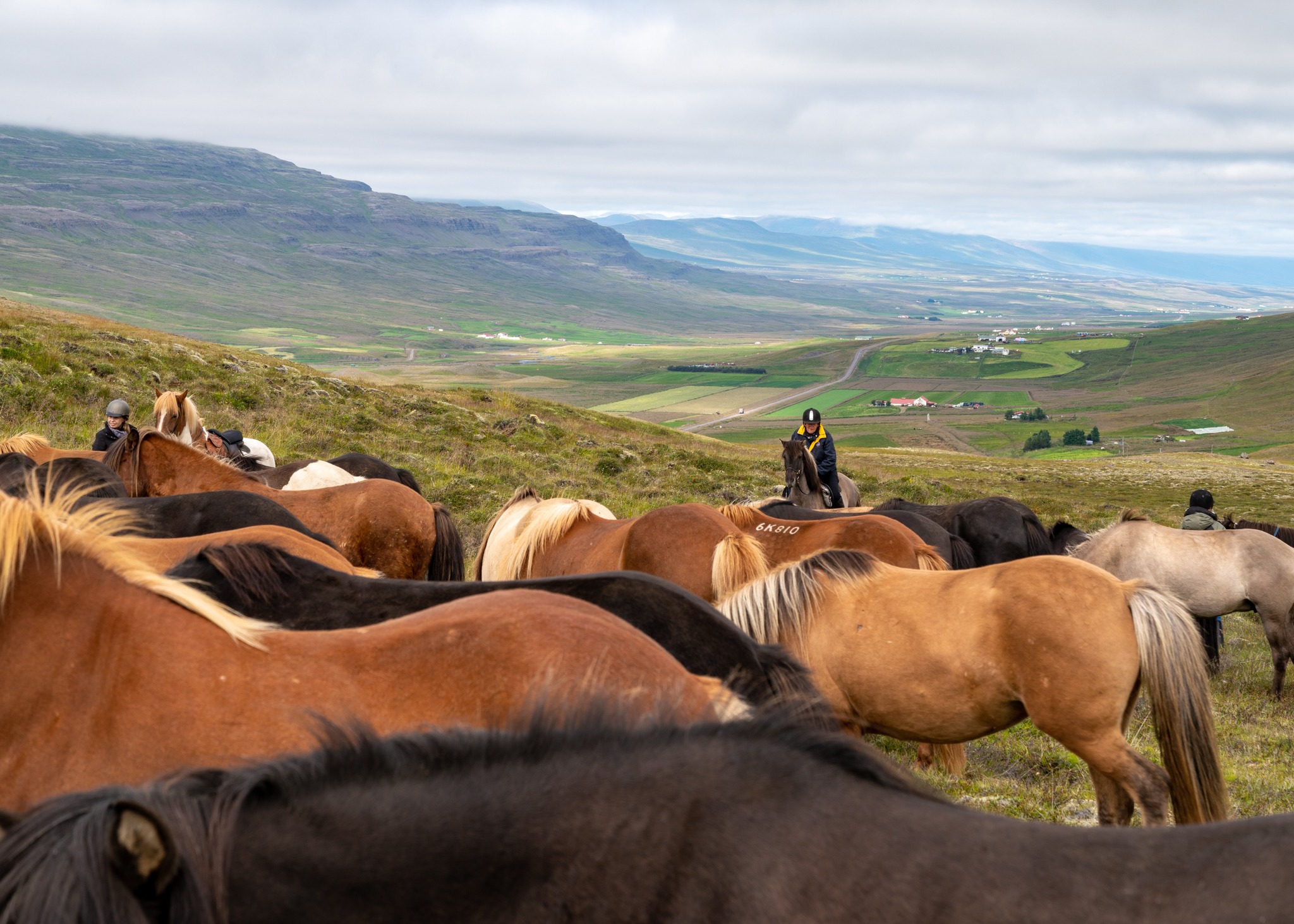 horse riding holiday in Iceland Wilderness Expedition