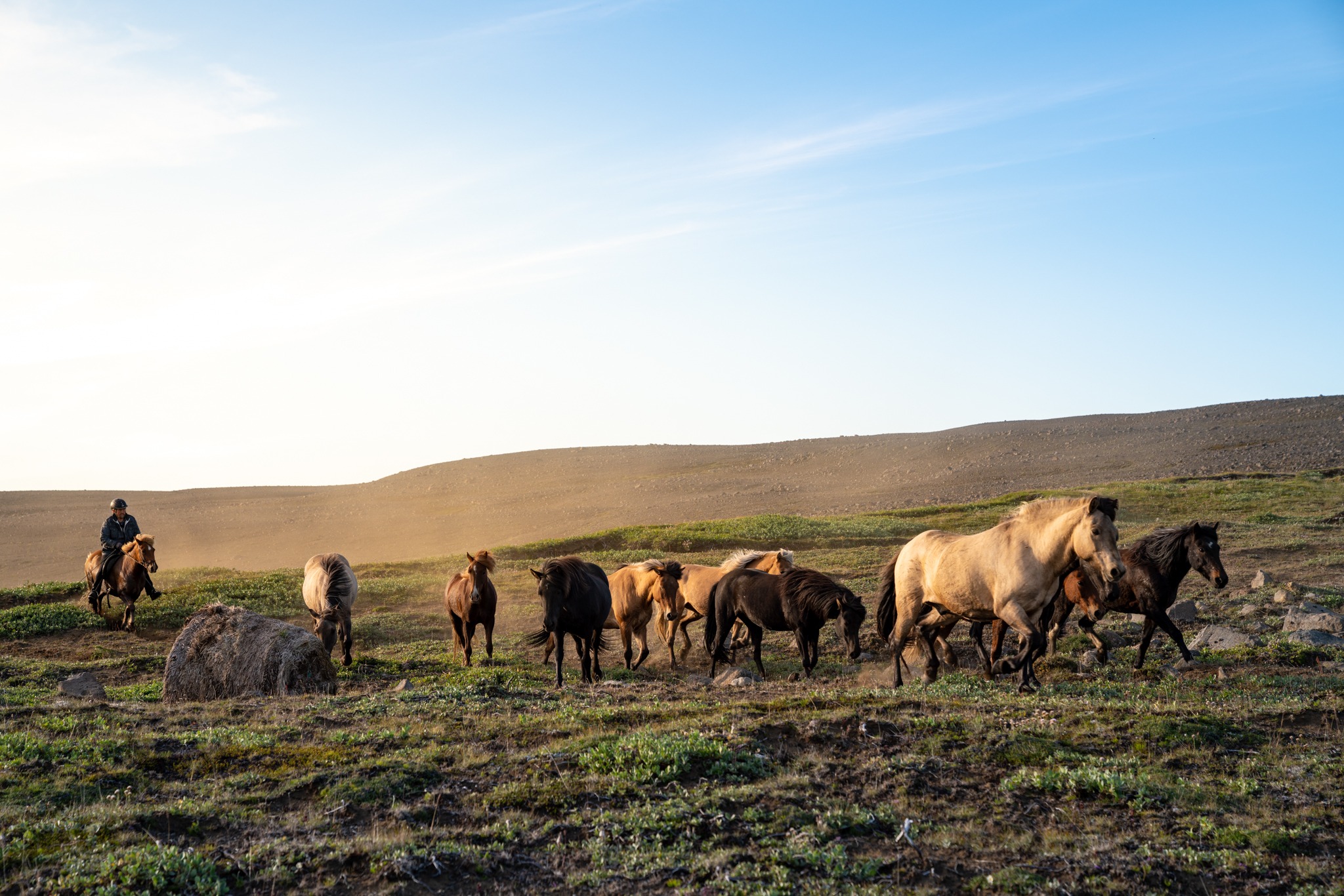 horse riding holiday in Iceland Wilderness Expedition