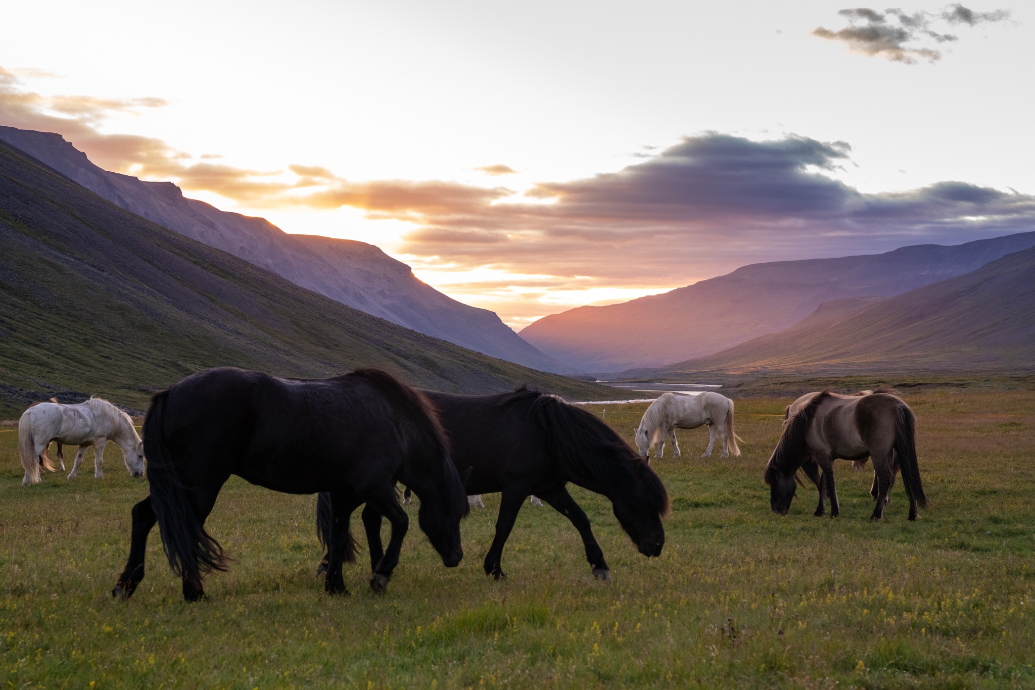 horse riding holiday in Iceland Wilderness Expedition