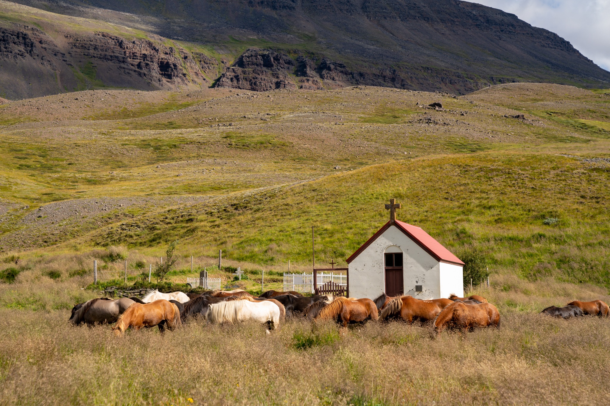 horse riding holiday in Iceland Wilderness Expedition