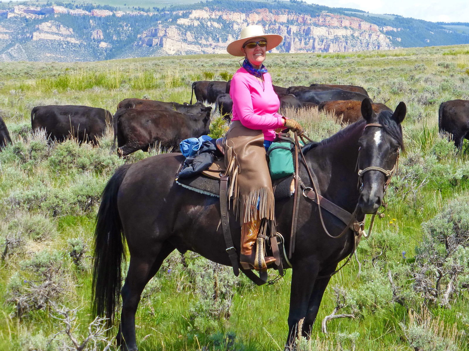 Shell, Wyoming - Globetrotting horse riding holidays