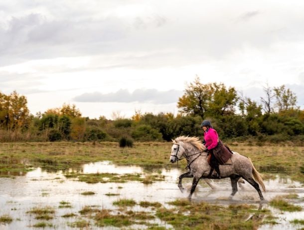 Globetrotting horse riding holiday in the Camargue, France