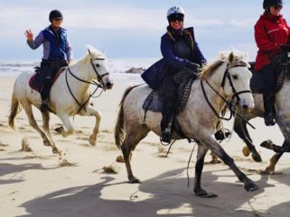 The Camargue Ride, France - Globetrotting horse riding holidays