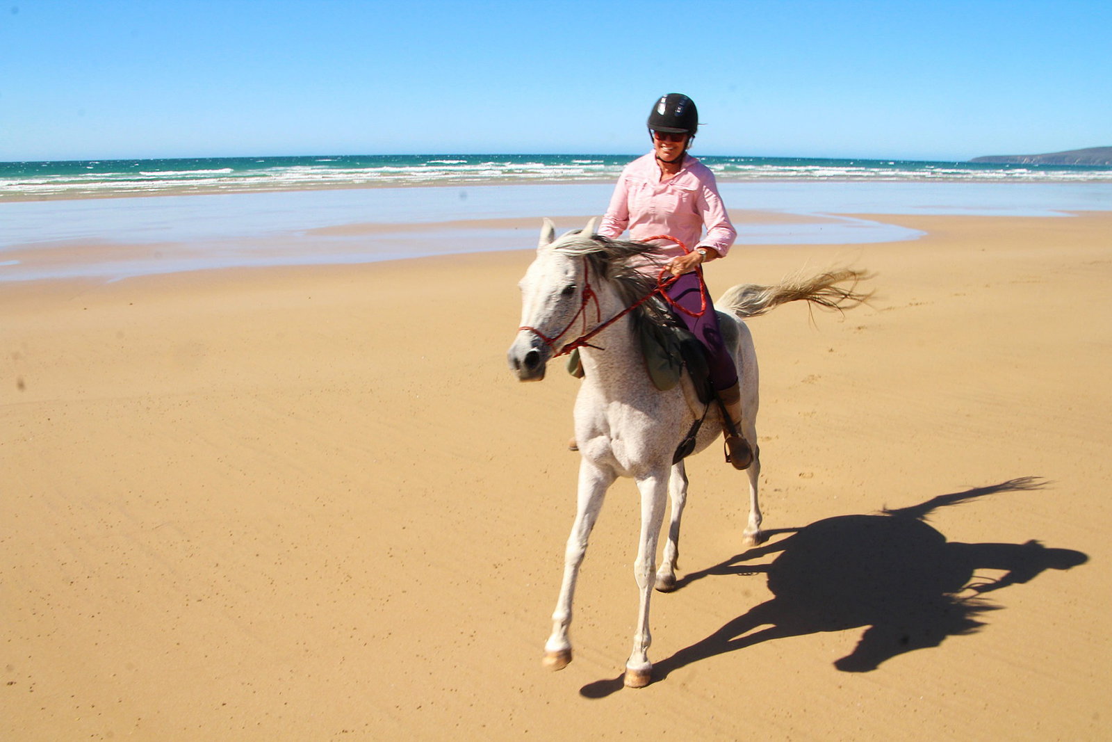 Tassie Tiger Trail - Globetrotting horse riding holidays