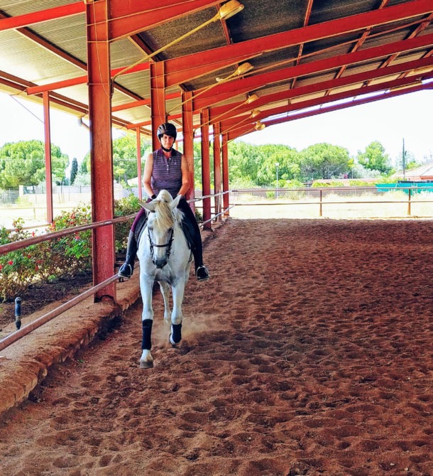 Dressage Ride in Spain - Globetrotting horse riding holidays