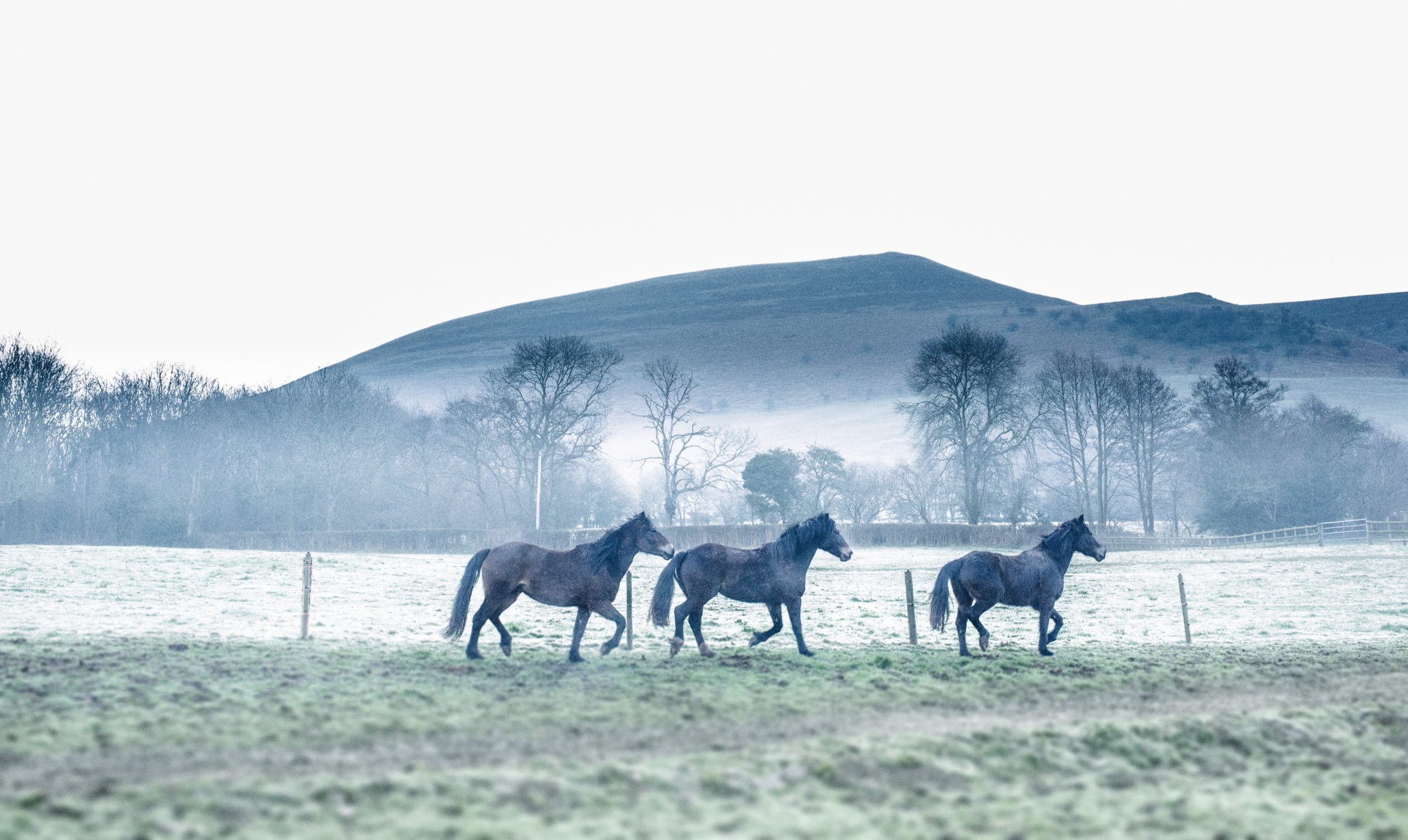 horse riding holiday in Wales