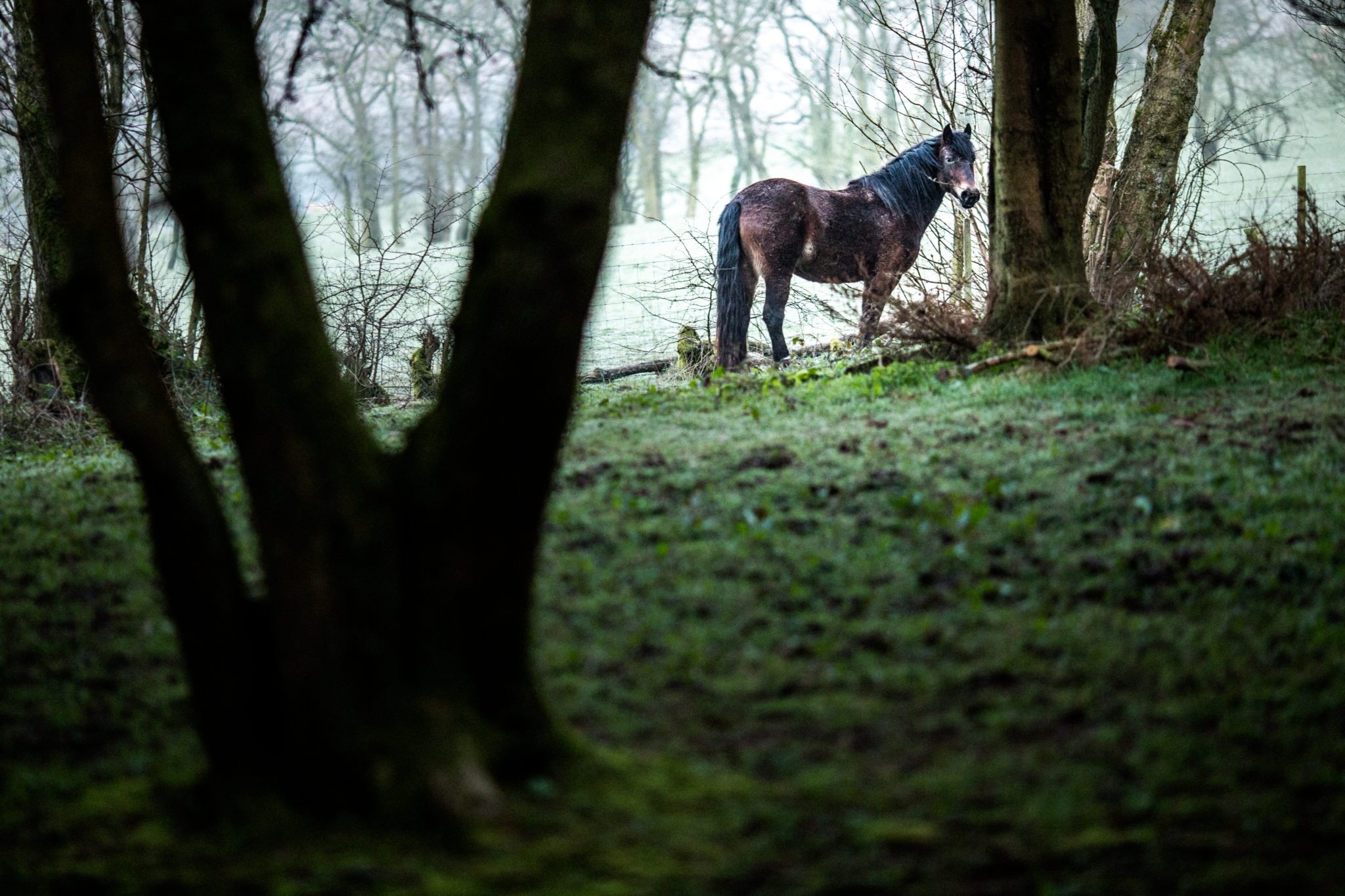 horse riding holiday in Wales