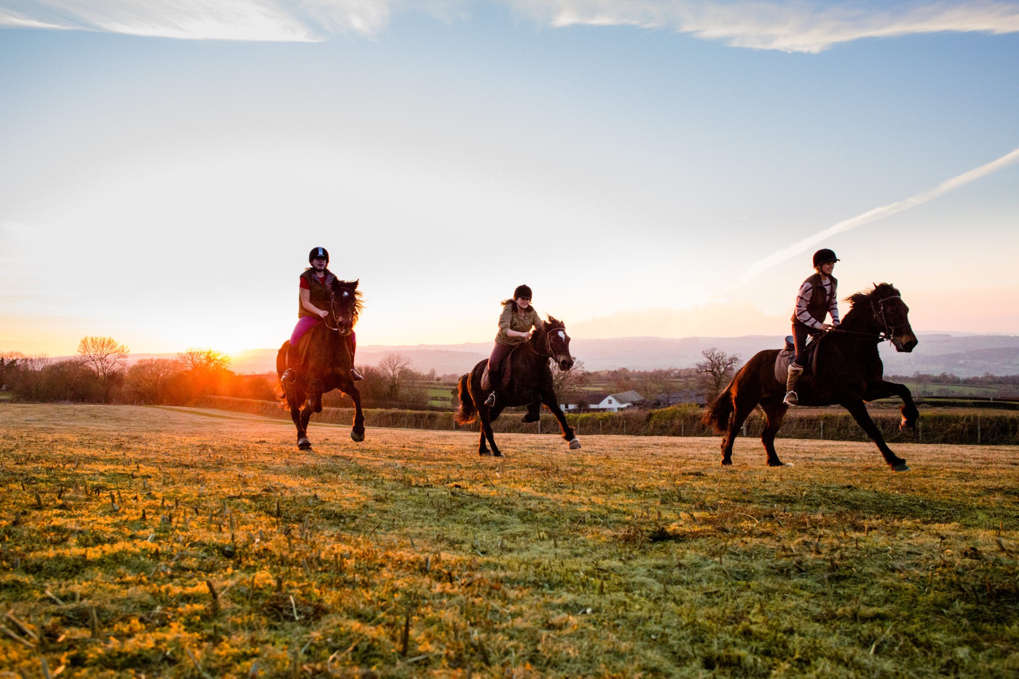 cantering on field on horse riding holiday in Wales by globetrotting