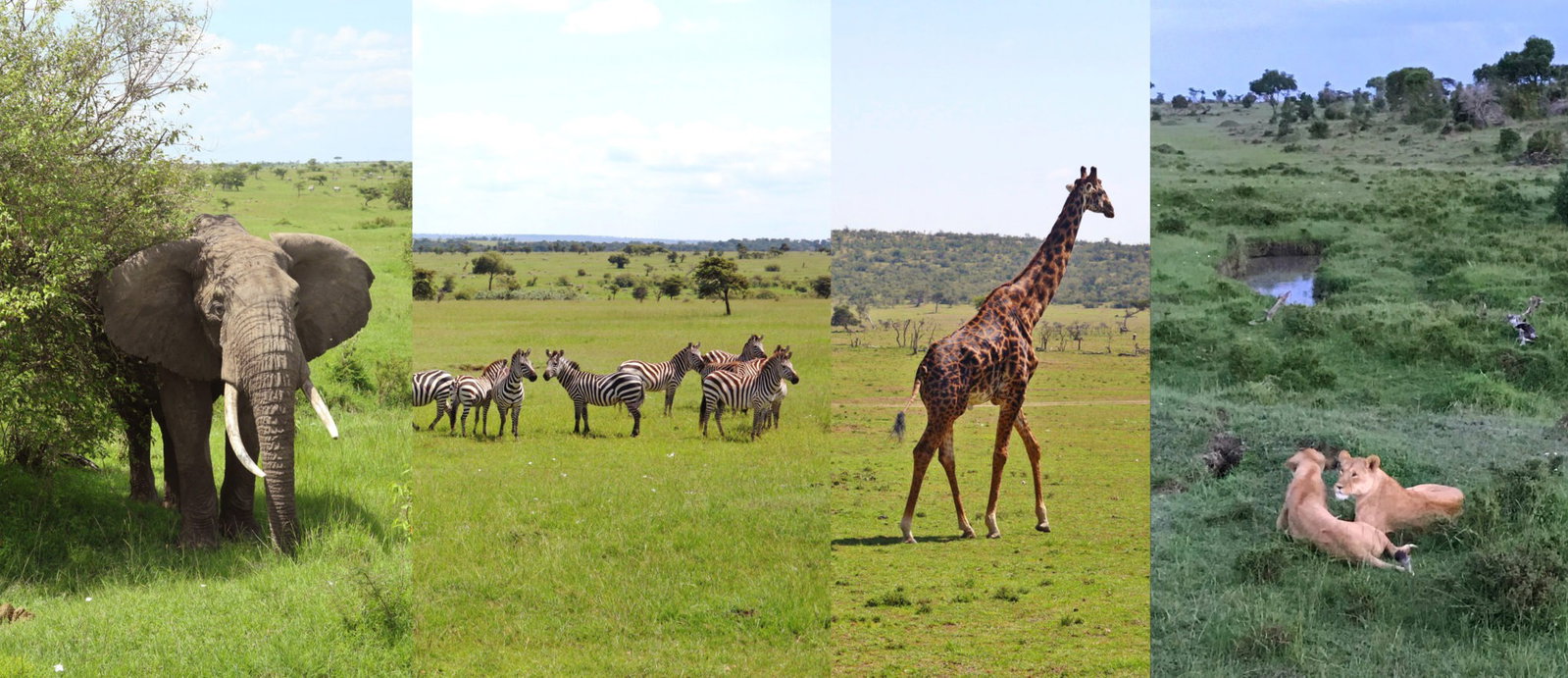 Meet a Globetrotter: Mike Barker - Globetrotting horse riding holidays