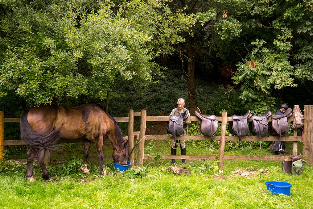 horse riding holiday in Wales