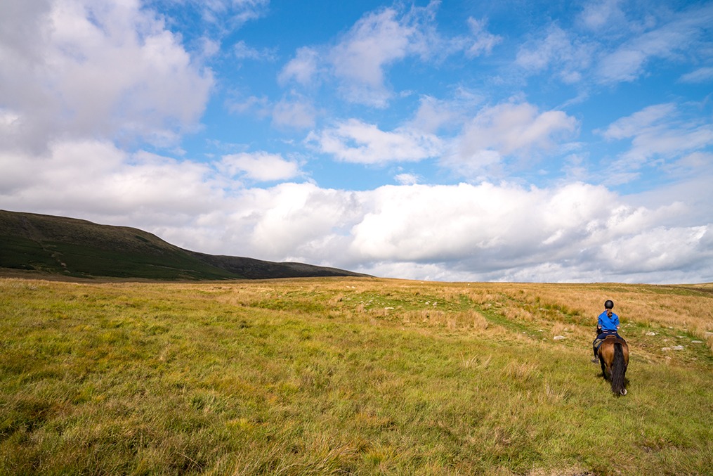horse riding holiday in Wales