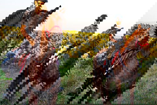 Globetrotting horse riding holiday in Catalonia, Spain