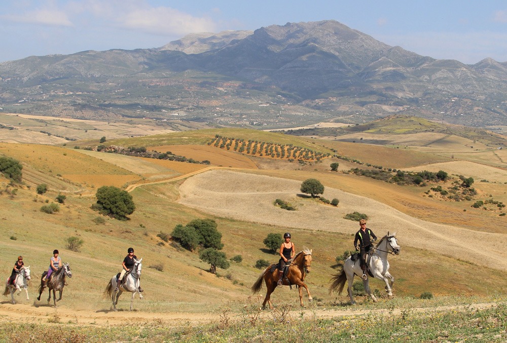 horse riding holiday in Andalusia, Spain