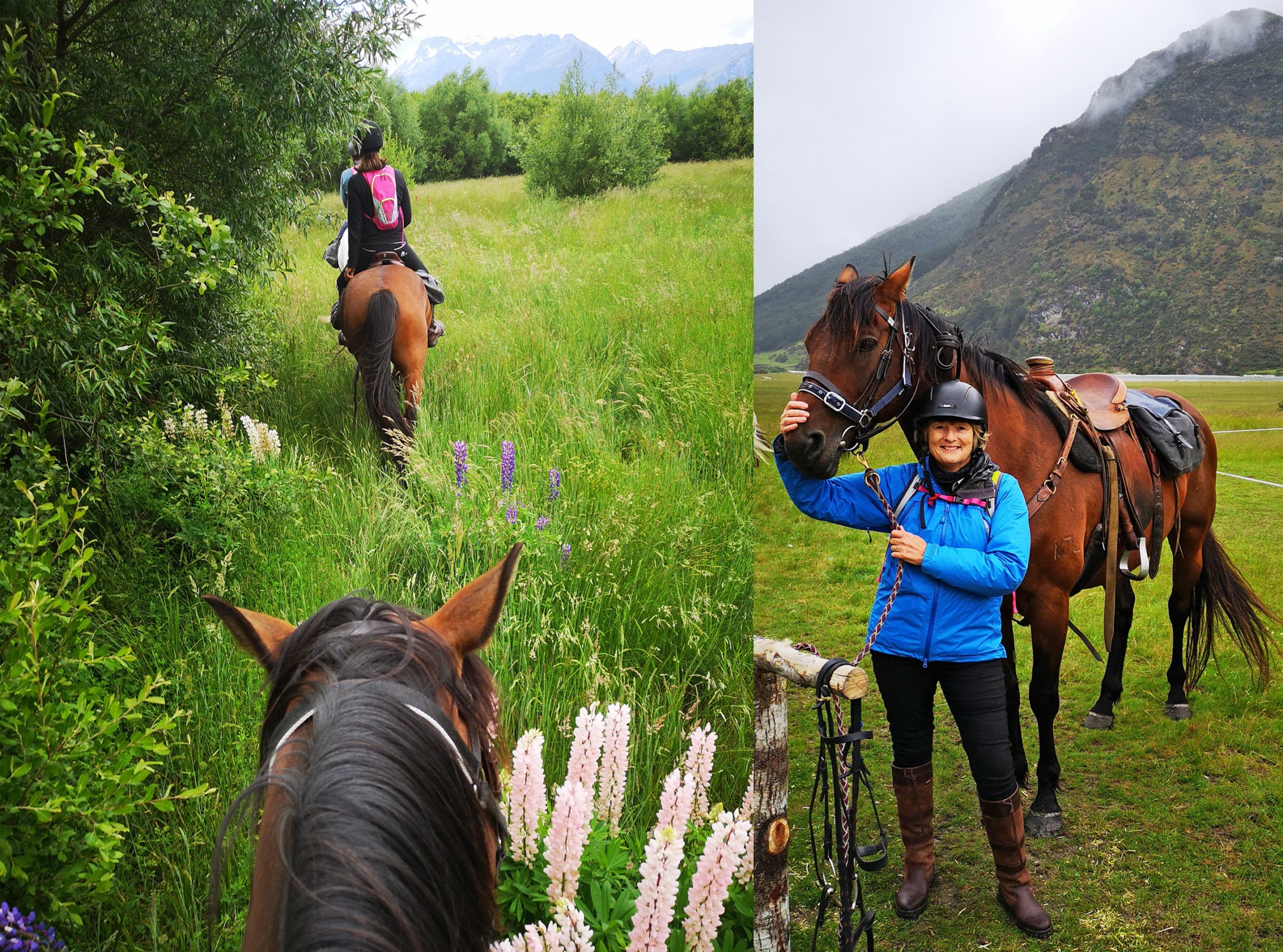 the Glenorchy Back Country Ride, New Zealand - Globetrotting horse riding holidays