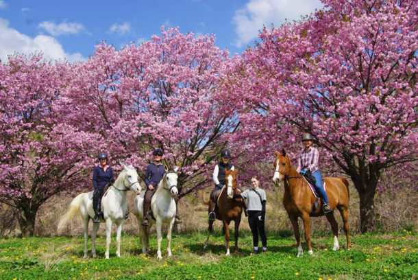 Kobuchizawa, Japan - Globetrotting horse riding holidays