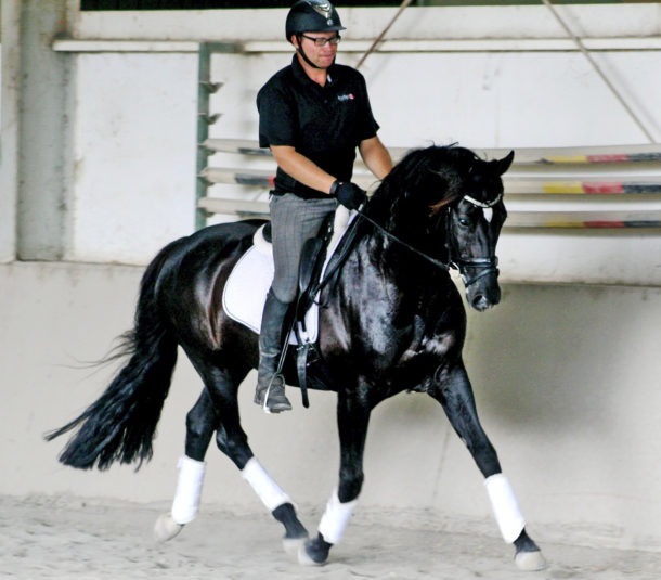 Nathan Harvey, Para Equestrian - Globetrotting horse riding holidays