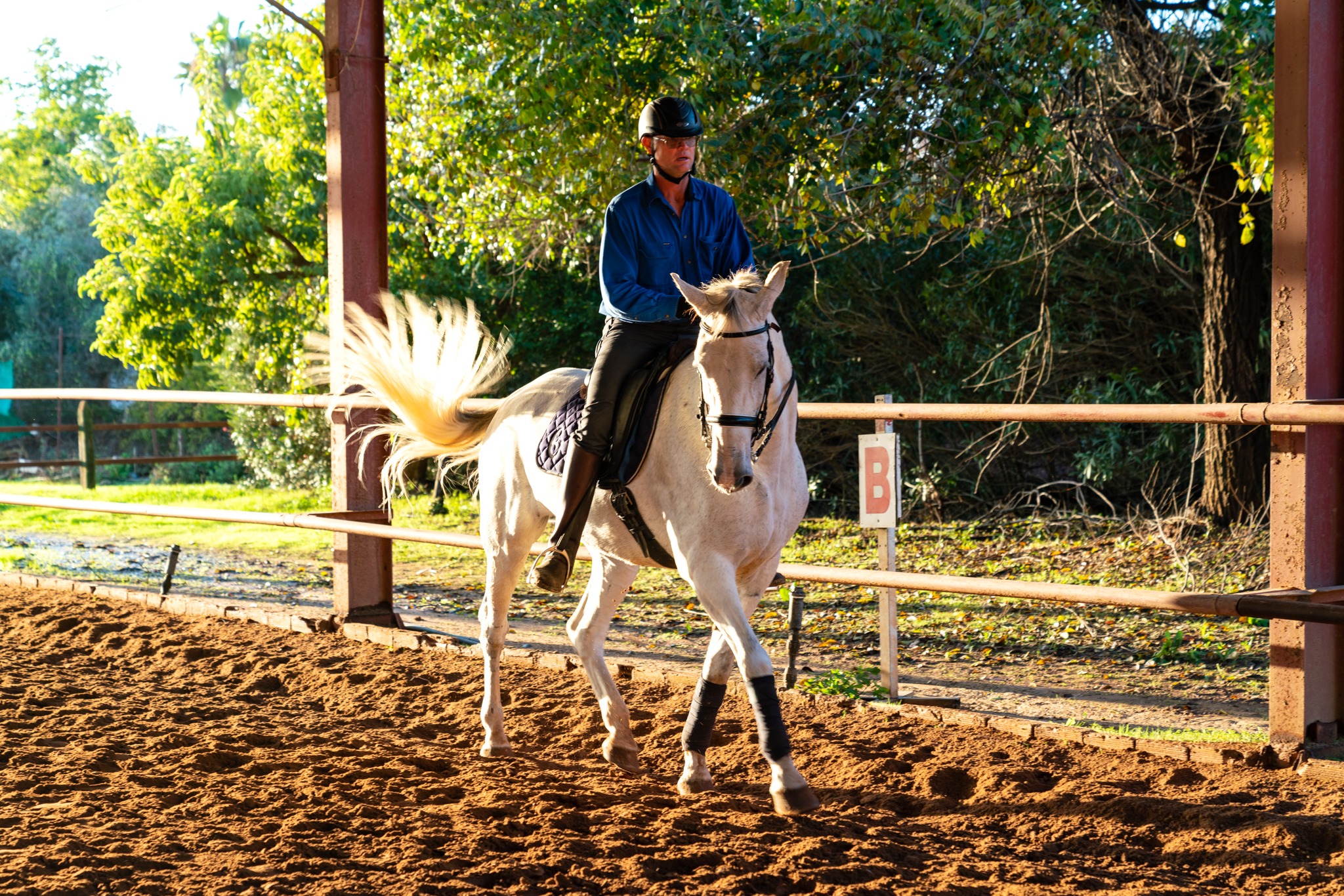 dressage horse riding holiday in Andalusia, Spain