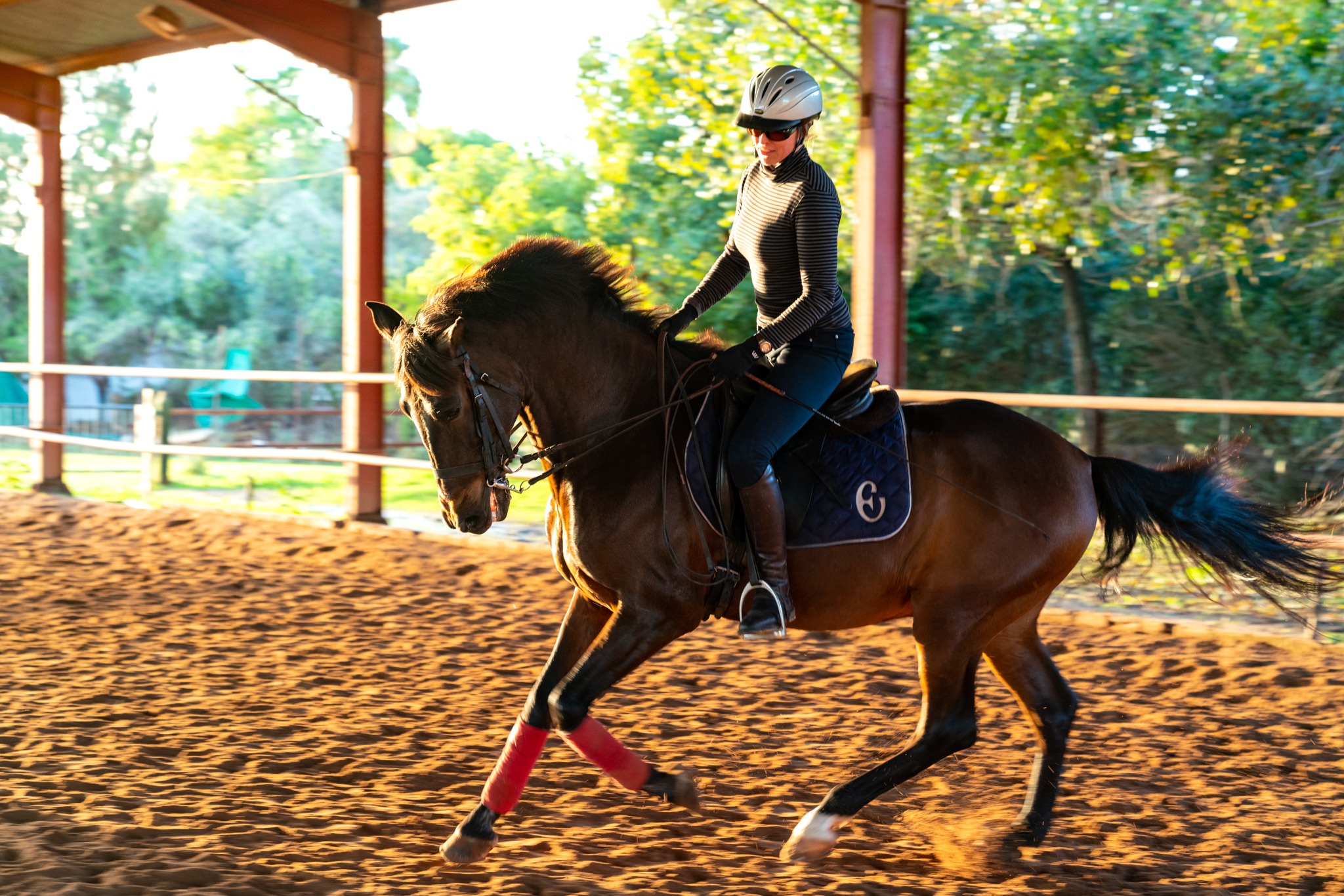 dressage horse riding holiday in Andalusia, Spain