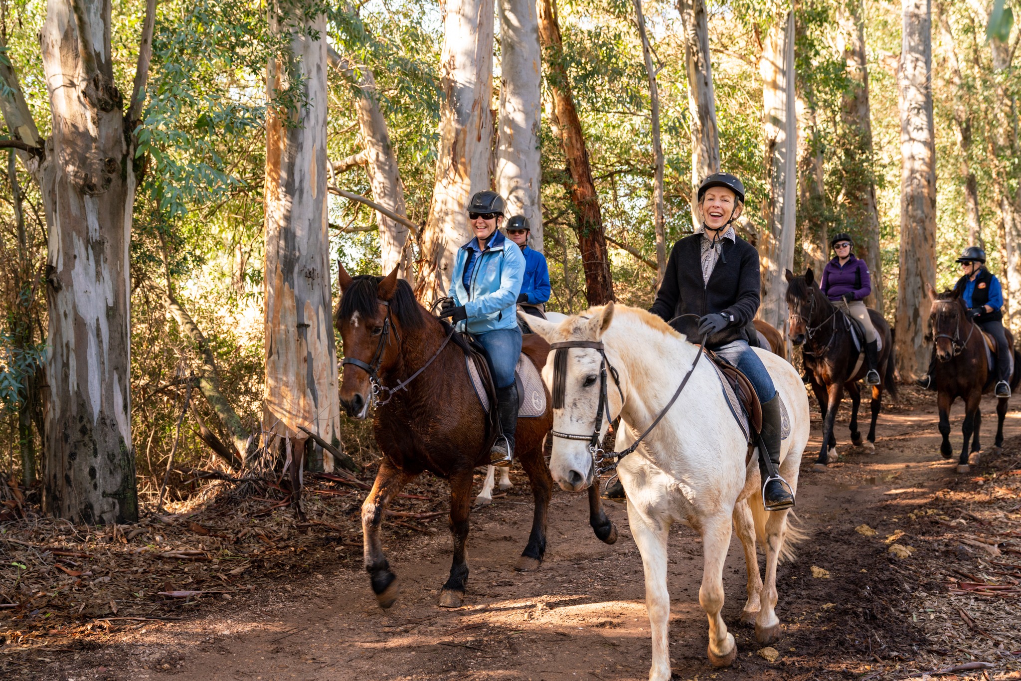 dressage horse riding holiday in Andalusia, Spain