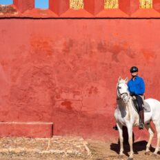 dressage horse riding holiday in Andalusia, Spain