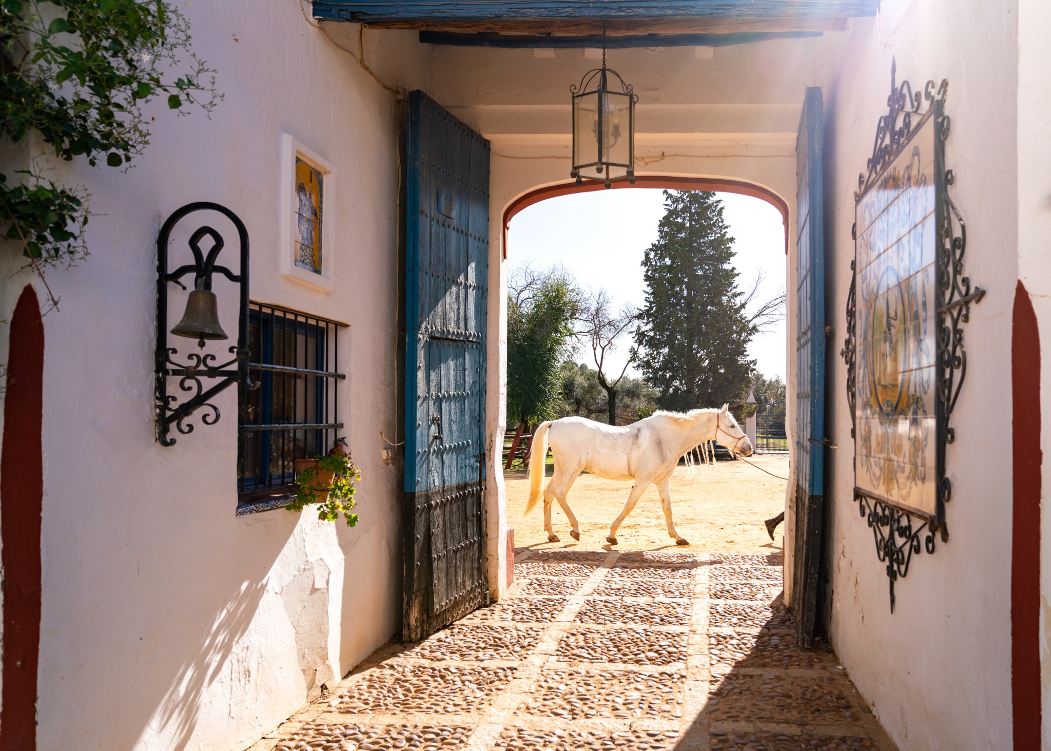 dressage horse riding holiday in Andalusia, Spain