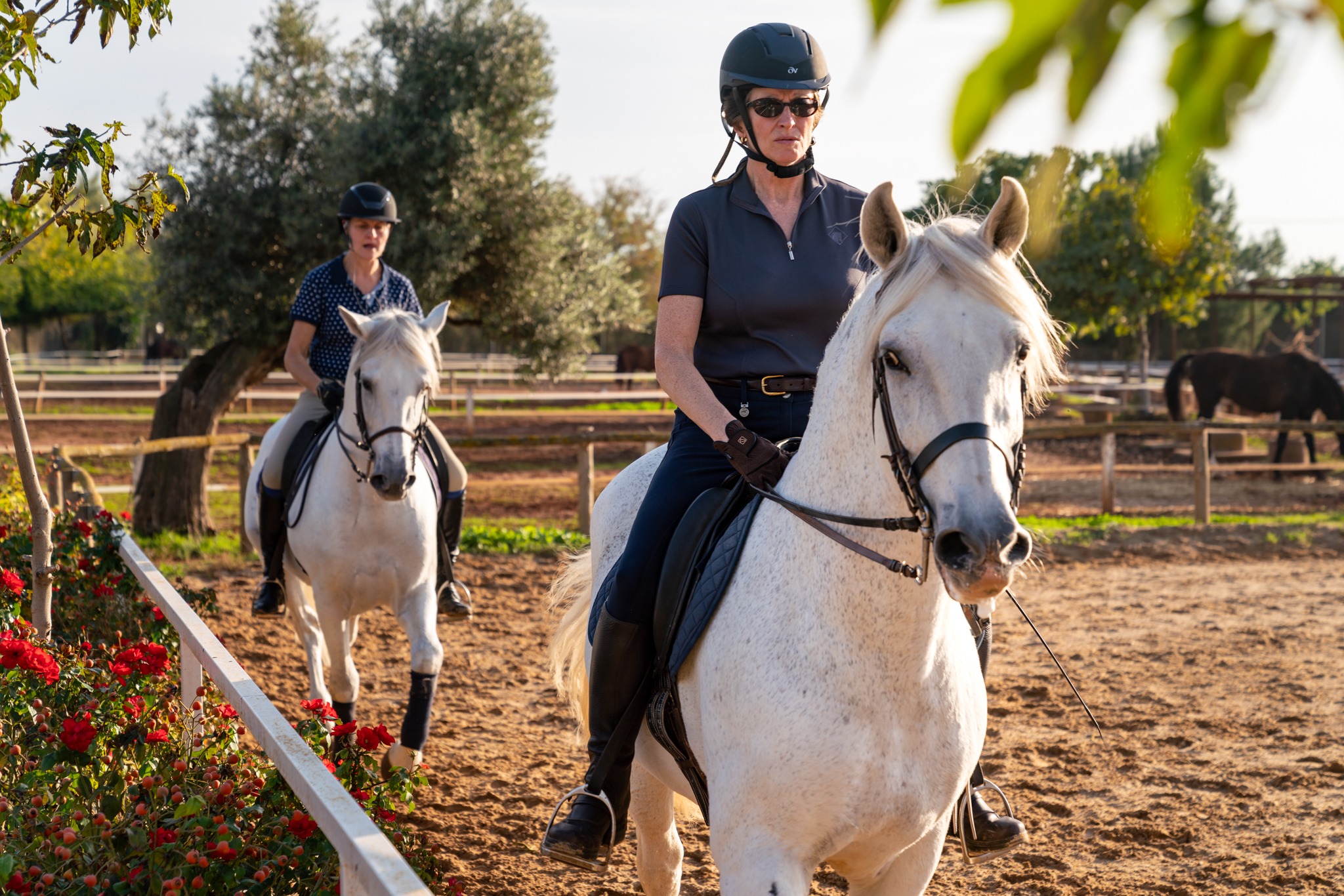 dressage horse riding holiday in Andalusia, Spain