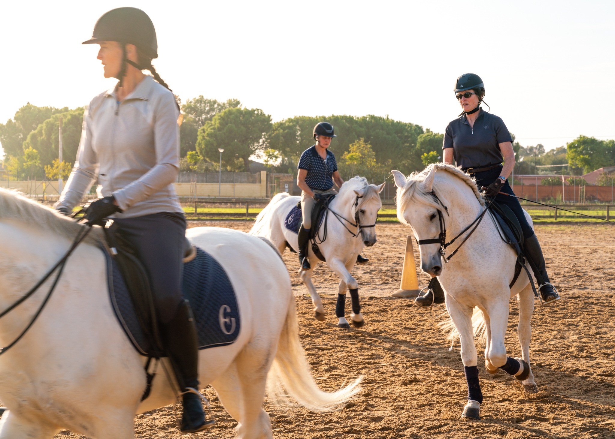 dressage horse riding holiday in Andalusia, Spain