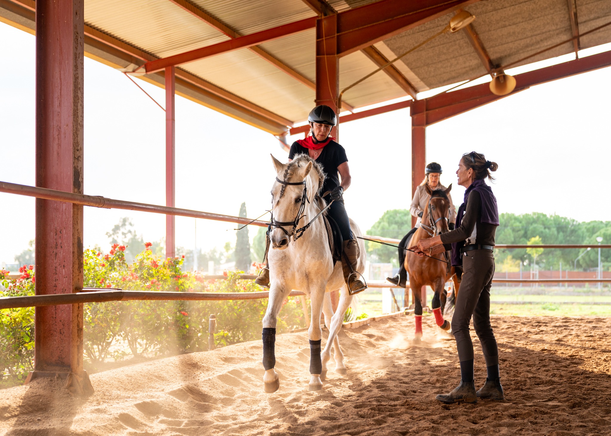 dressage horse riding holiday in Andalusia, Spain