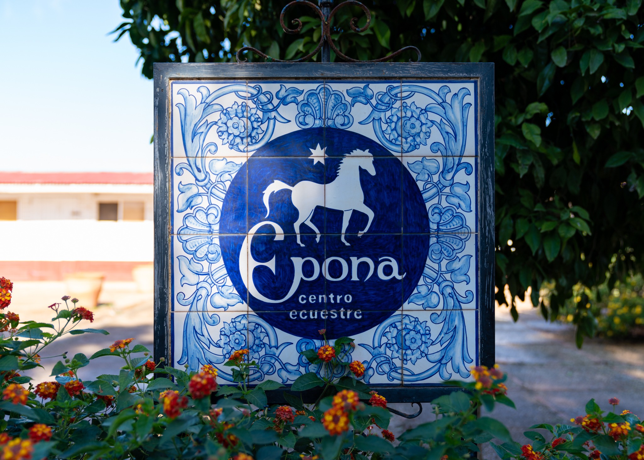 dressage horse riding holiday in Andalusia, Spain