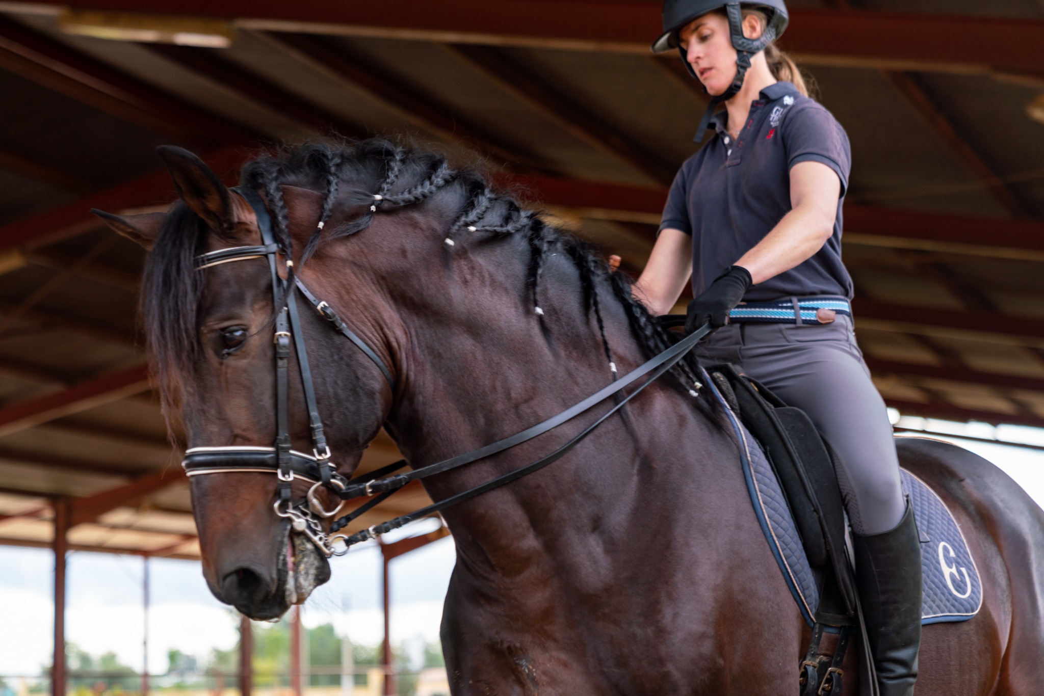 dressage horse riding holiday in Andalusia, Spain