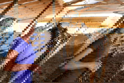 Twin Coast Adventure, New Zealand - Globetrotting horse riding holidays