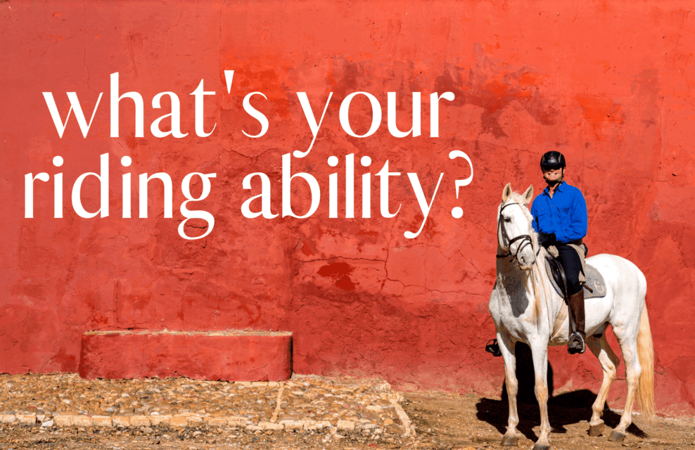 What's your riding ability? - Globetrotting horse riding holidays
