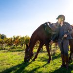 horse and rider resting in vineyard bordeaux horse riding holiday by globetrotting