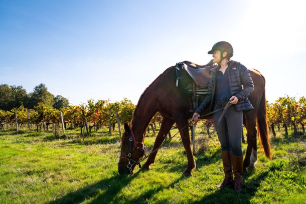 horse and rider resting in vineyard bordeaux horse riding holiday by globetrotting